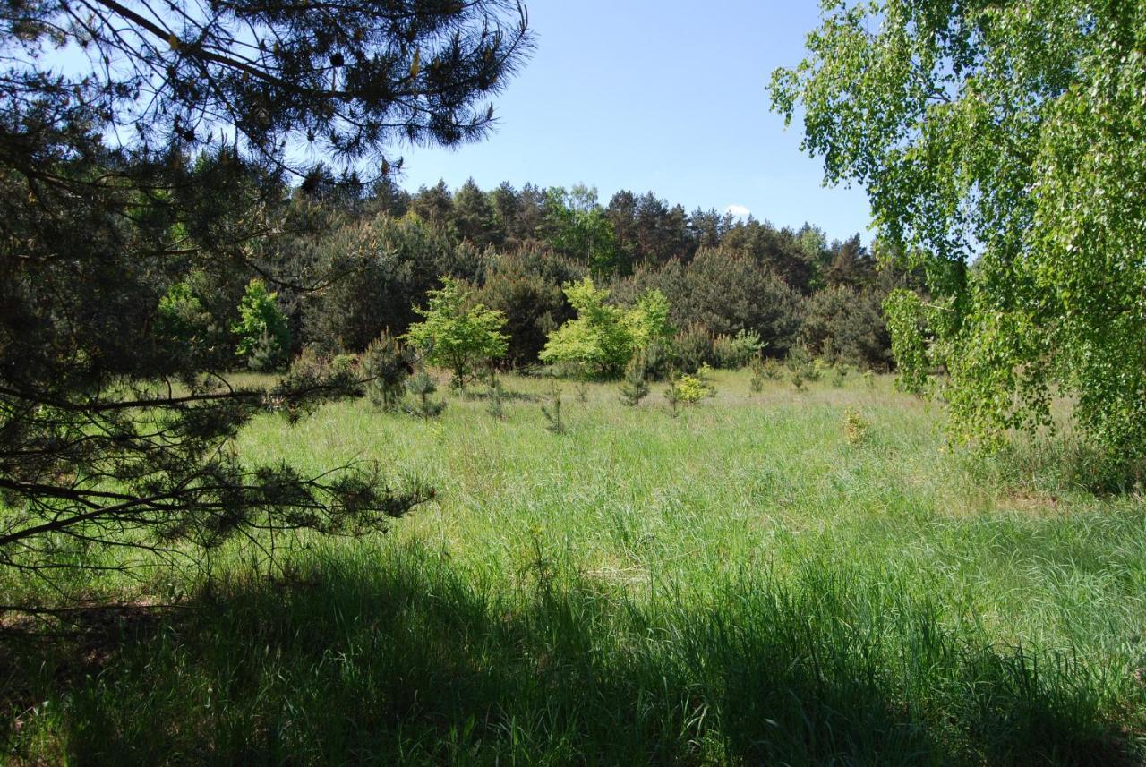 Szydlowiec Anastazewo Bagian luar foto