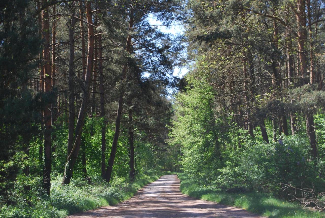 Szydlowiec Anastazewo Bagian luar foto