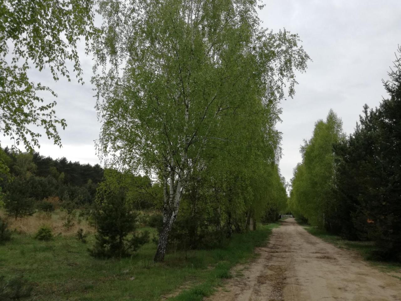 Szydlowiec Anastazewo Bagian luar foto